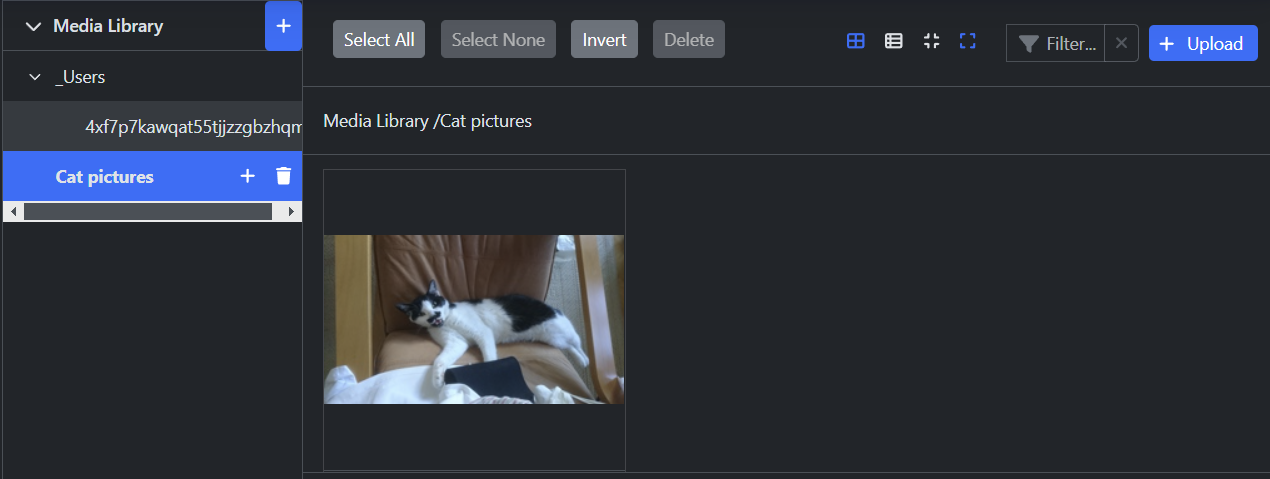 Media Library grid view