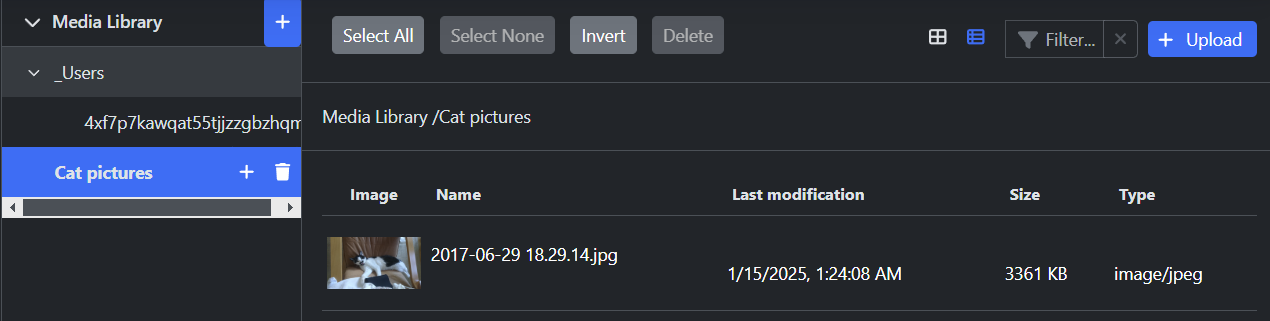 Media Library list view