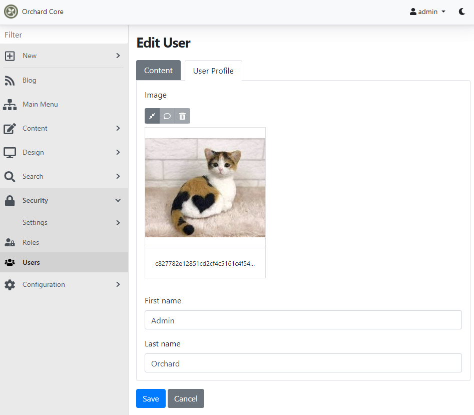 The editor of the custom user settings