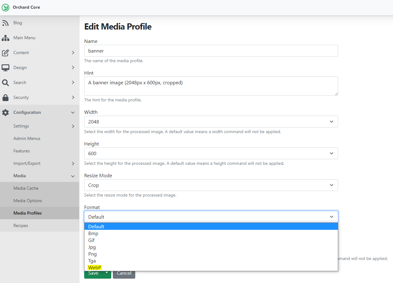 New WebP Media Profile format