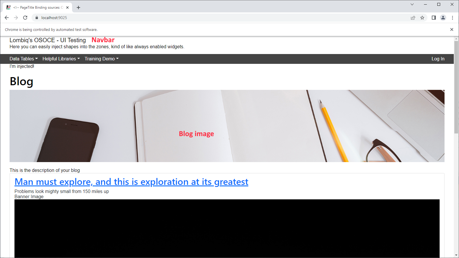 The page to run the visual verification tests on