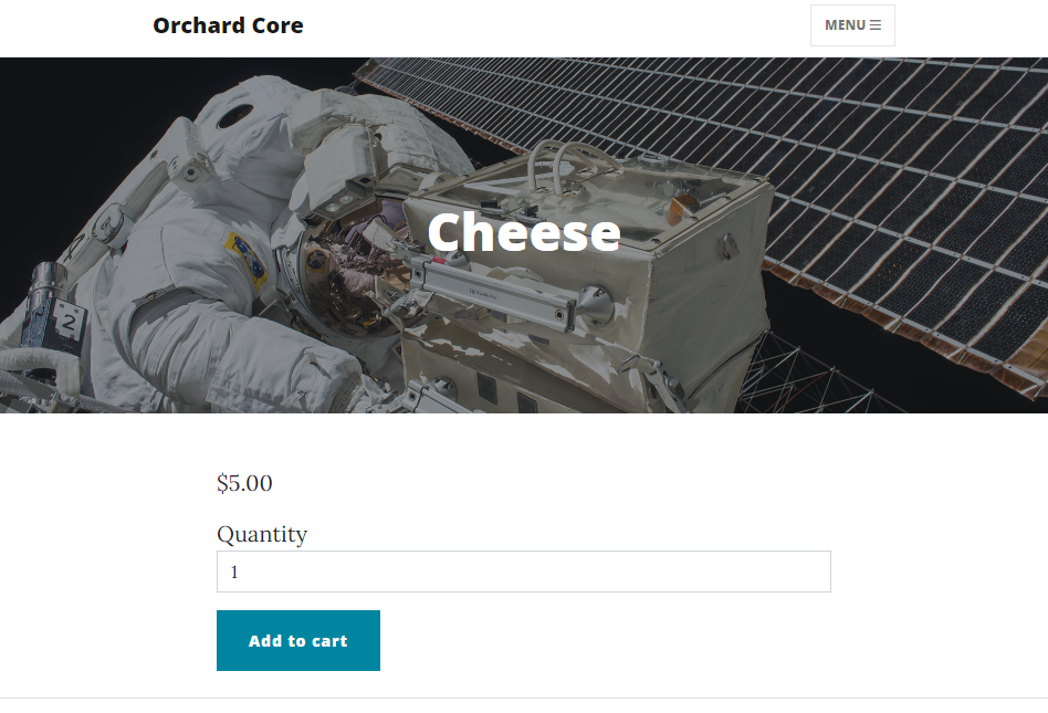 Adding a product to the cart