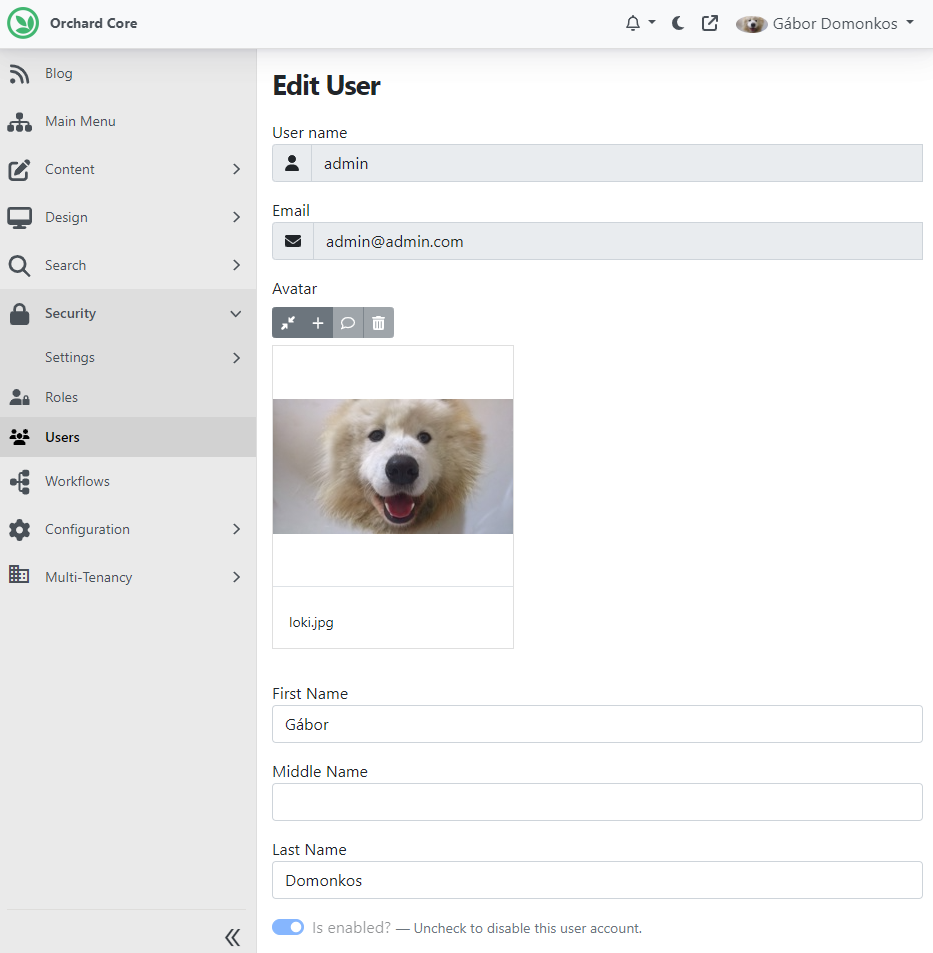 Edit user name with the display name-related properties