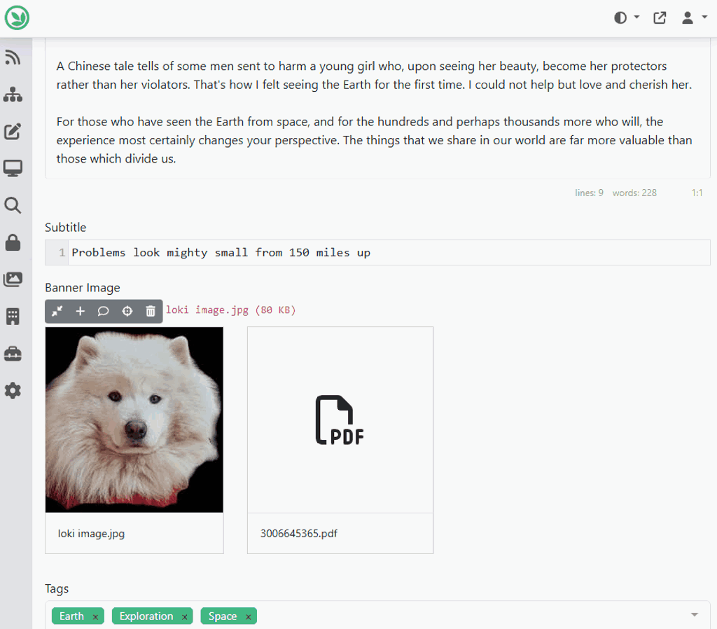 Disable the anchor button in the Media Field for non-image media items